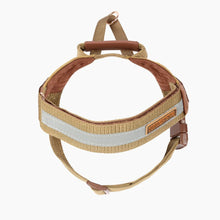 Load image into Gallery viewer, EZYDOG HARNESS EXPRESS CORDUROY LG