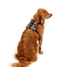 Load image into Gallery viewer, EZYDOG HARNESS X-LINK L BLACK