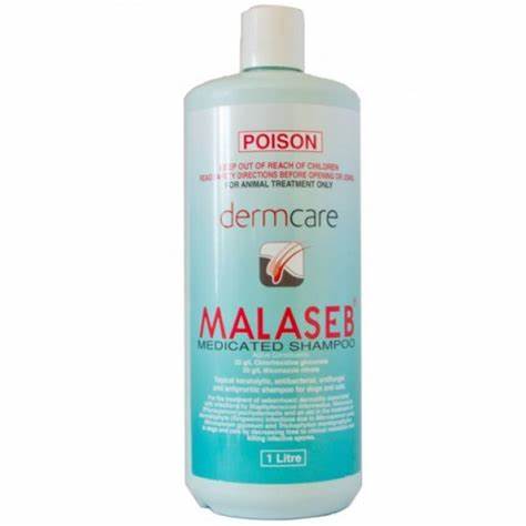 MALASEB MEDICATED FOAM 1L